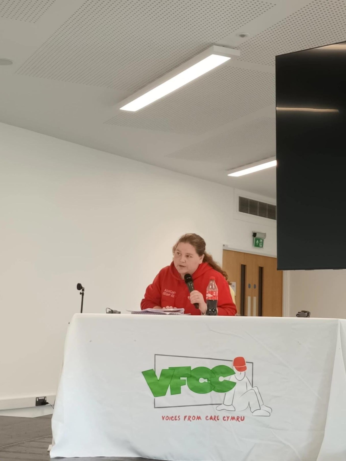 Voices from Care Cymru summit