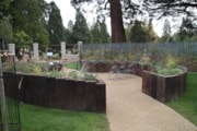 Reflective garden 2: South Western Railway's reflective garden at Brookwood Cemetery