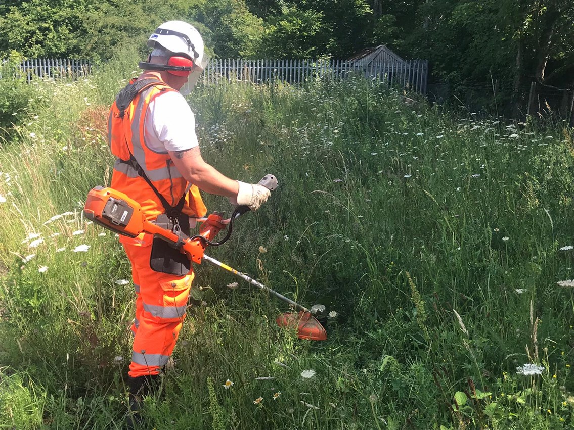 Trial of electric strimmers and trimmers to improve conditions for staff and railway neighbours: Railway strimmers trial
