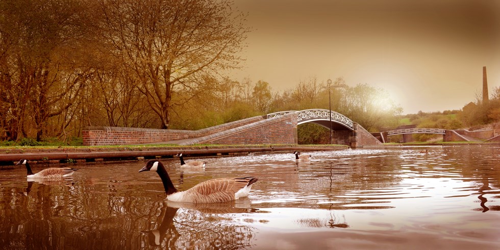 Bumble Hole local nature reserve (please credit Phil Riley)