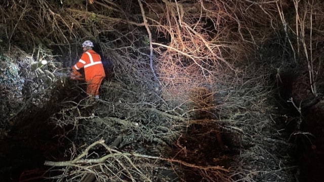 £1m vegetation management programme gets underway on Heart of Wales line: Storm damage on the Heart of Wales line. December 2024