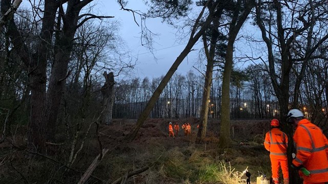 Storm Corrie 90mph gales bring down 100ft tree beside West Coast main line: Dangerous-tree-in-Cumbria-removed-by-Network-Rail