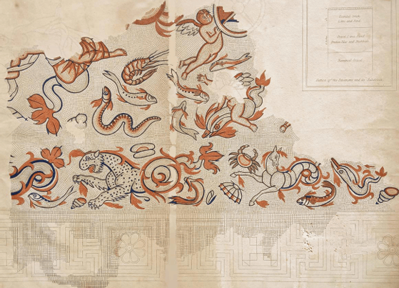 Lysons Smirke drawing of the sealife mosaic as recorded in the 19th century.                        