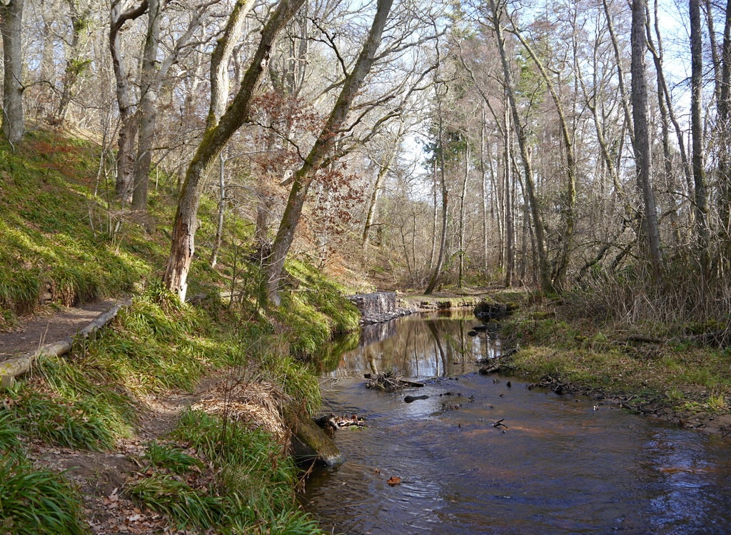 Burn of Mosset, in Forres woodland - the Burn of Mosset flows through mixed woodland, heading towards Sanquhar Loch. A small path runs alongside the burn.

©Craig Wallace and licensed for reuse under this Creative Commons Licence.
