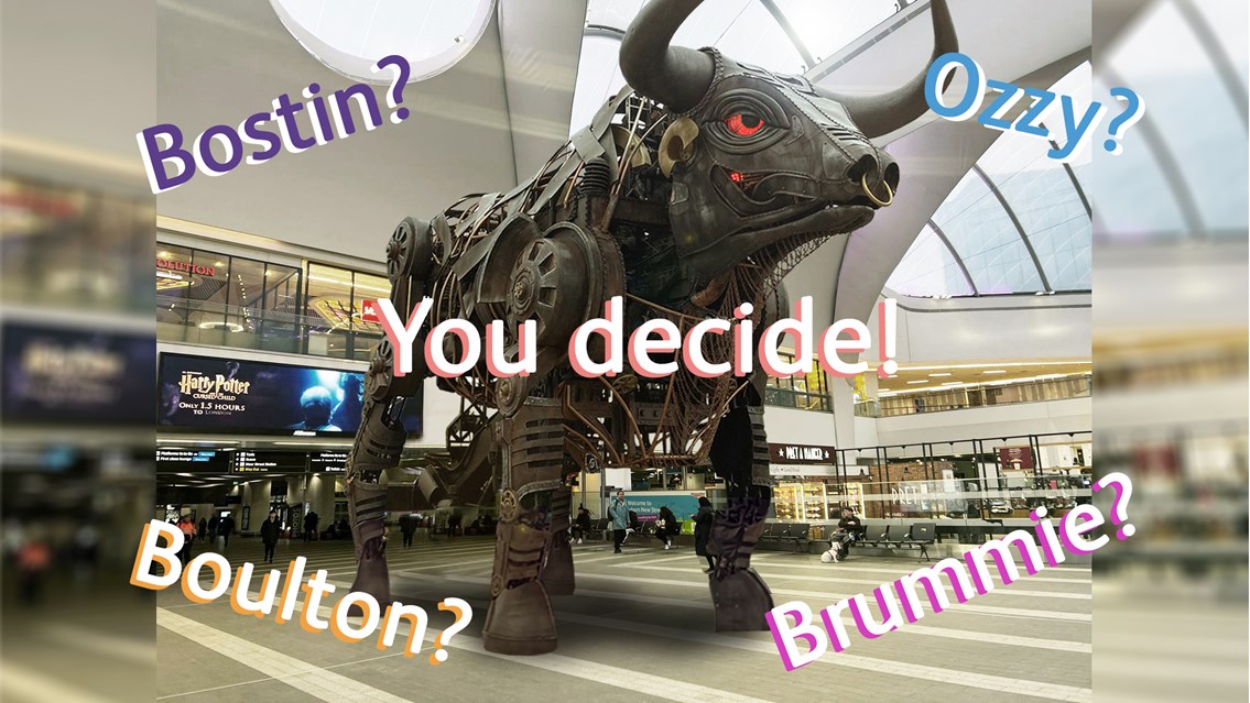 Final name shortlist - Raging Bull photomontage 16x9 for press release - Bull not to scale