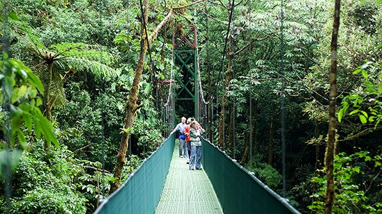 Costa Rica National Parks, Nature & Wildlife - Day 10 - Monteverde