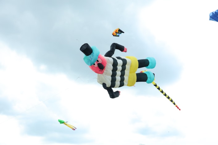 Kite Festival 13: Visitors to Lotherton Kite Festival can expect some of the world’s largest inflatable kites, portraying a variety of well-known characters.
Credit: The Northern Kite Group