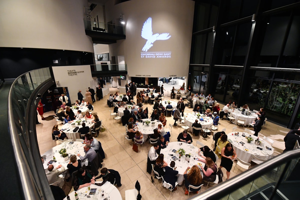 St David Awards