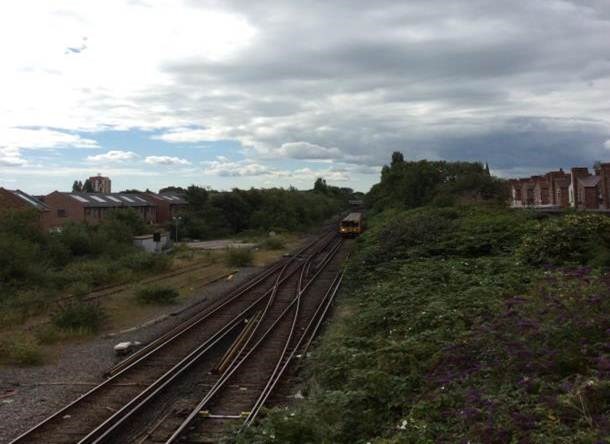 Tree-removal to keep railway safe at Rock Ferry: Rock Ferry