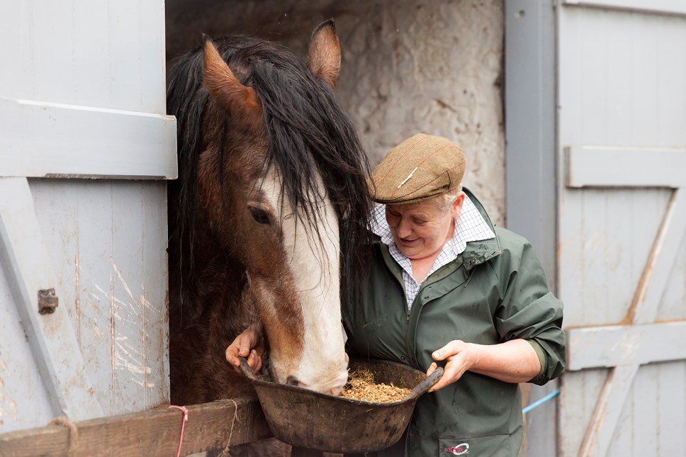 National Museum of Rural Life, East Kilbride. Photo © Ruth Armstrong 02