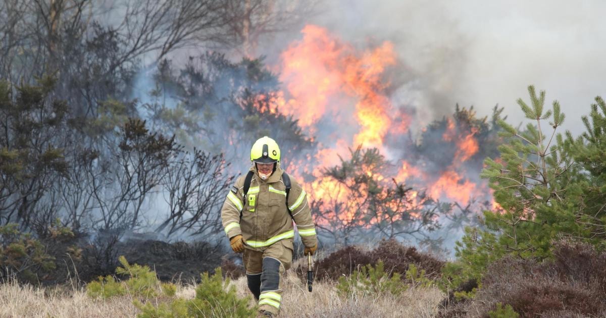 wildfire loch doon