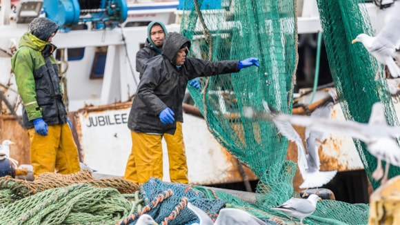 New guidance issued to support fishing industry employers (UPDATED EDIT): Peterhead Fishing 224 - Large-2