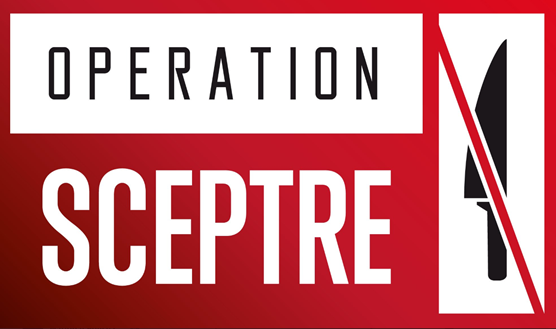 Forces across the country unite in action to tackle knife crime: Operation Sceptre red