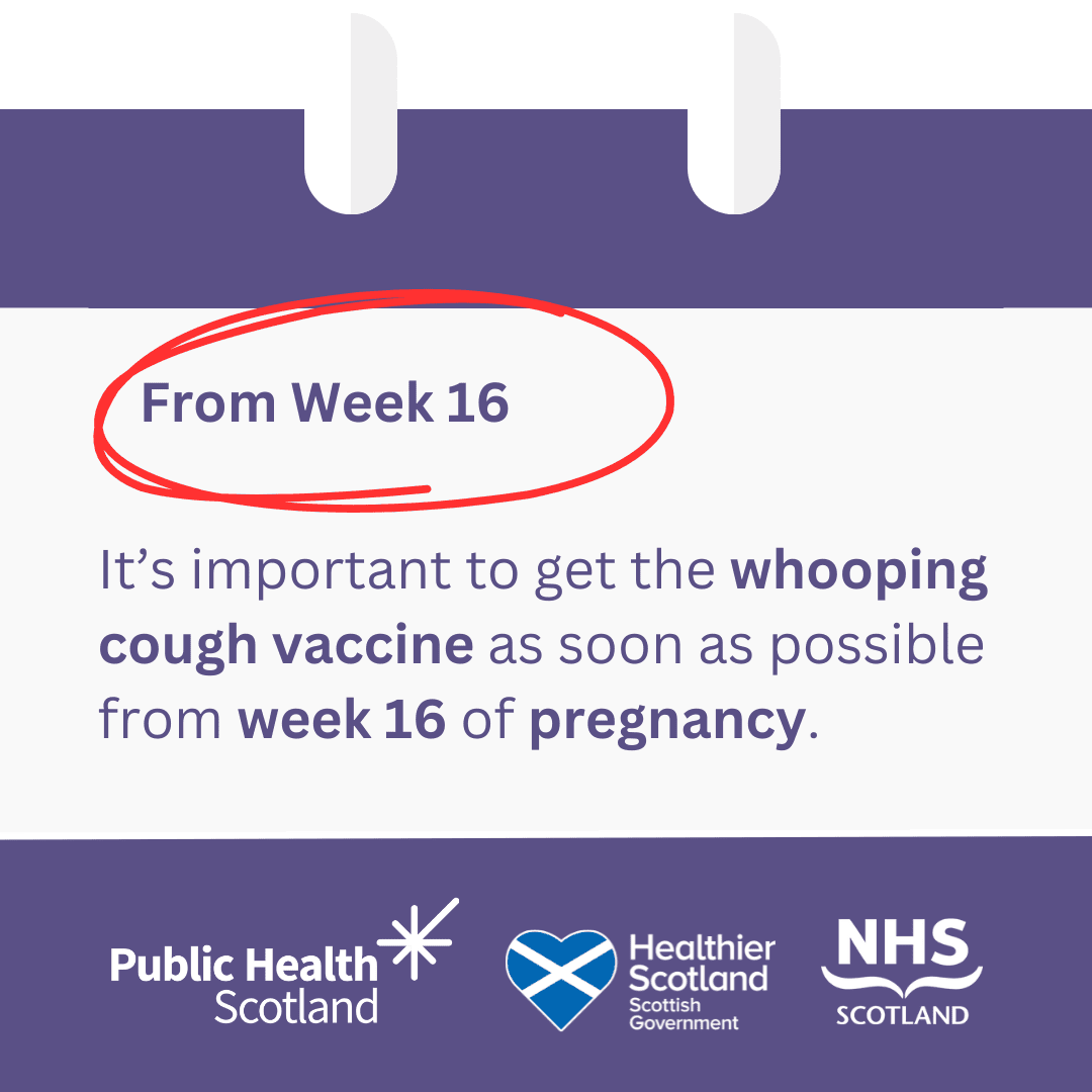 Whooping Cough Asset 2a May 2024 Public Health Scotland News