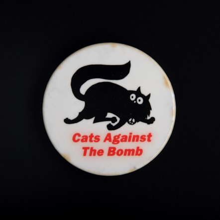 Protest badge, c.1980s Photo © National Museums Scotland (26)