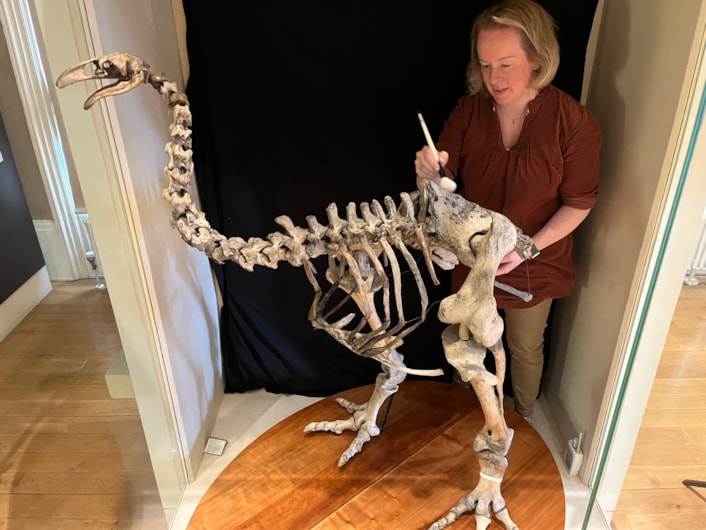 Moa cleaning: Clare Brown, Leeds Museums and Galleries' curator of natural sciences cleans the incredibly rare and complete bones of the heavy-footed moa, a huge flightless bird which once roamed parts of New Zealand. The bones are on display at Leeds City Museum.