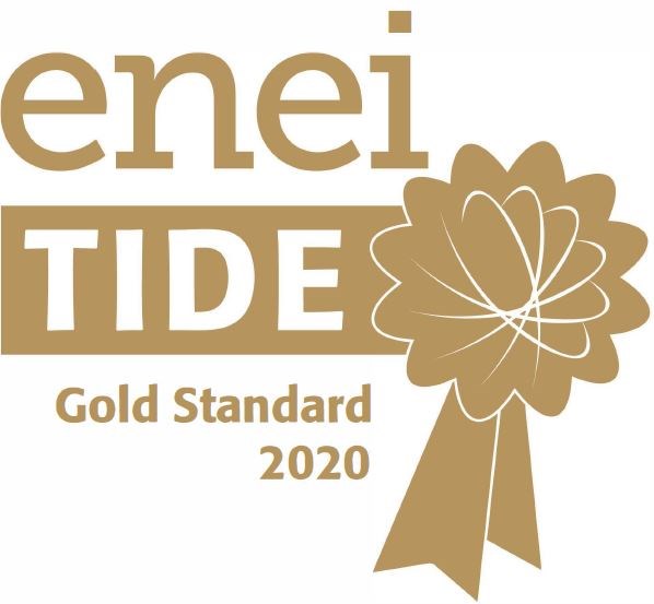 Logo for the enei gold awards- employer recognition for equality and diversity