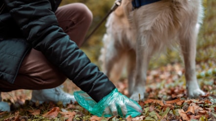 Dog fouling PSPO