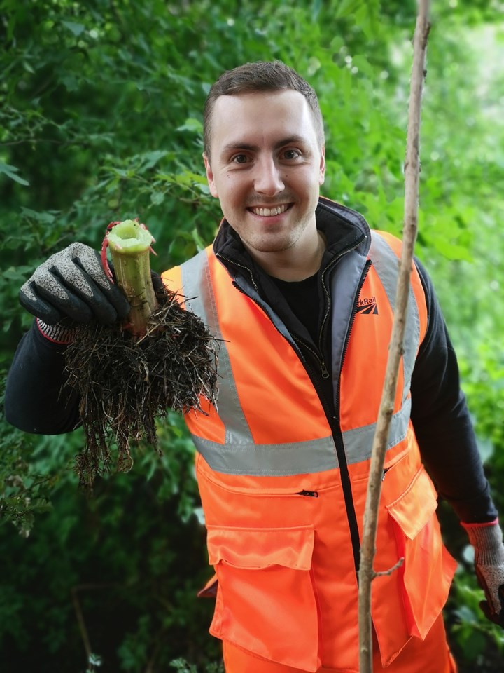 Network Rail engineering technician Callum Pettigrew showing Himalayan Balsam root ball