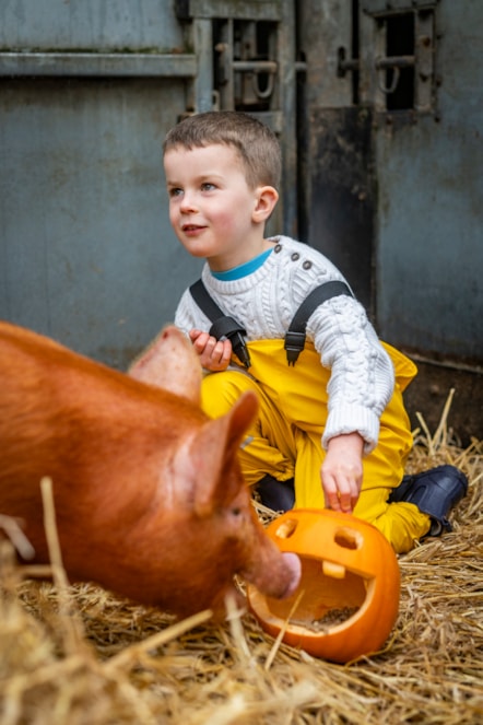 Arlo Cook (age 5) at the National Museum of Rural Life. Photo © Andy Catlin 1