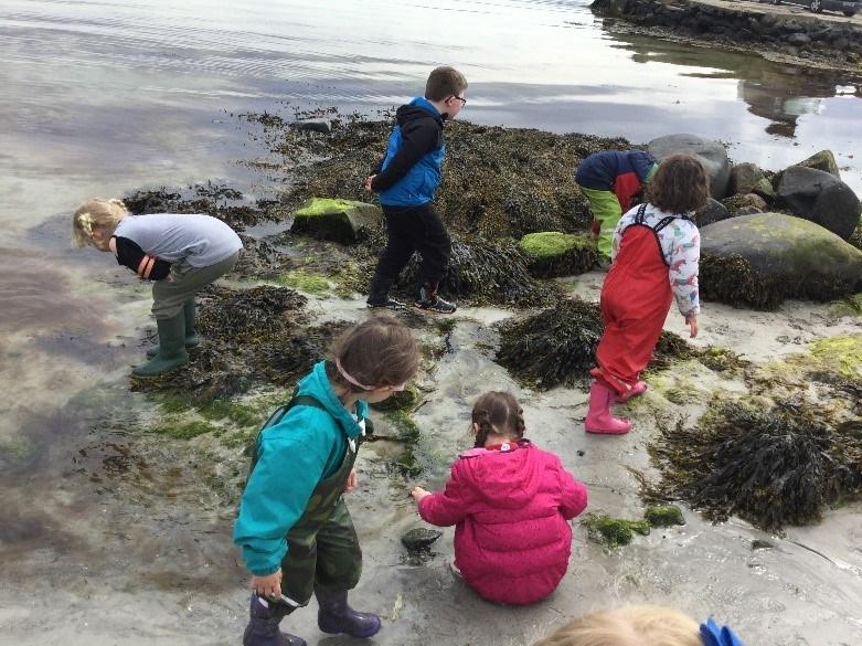 Gigha Curiosity and Imagination Project