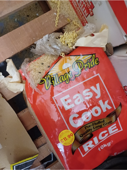Food gnawed and contaminated by rat droppings
