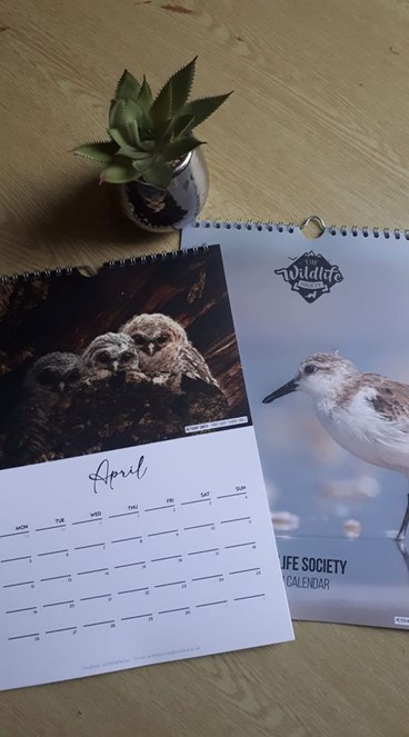 Wildlife Society 2021 Calendar