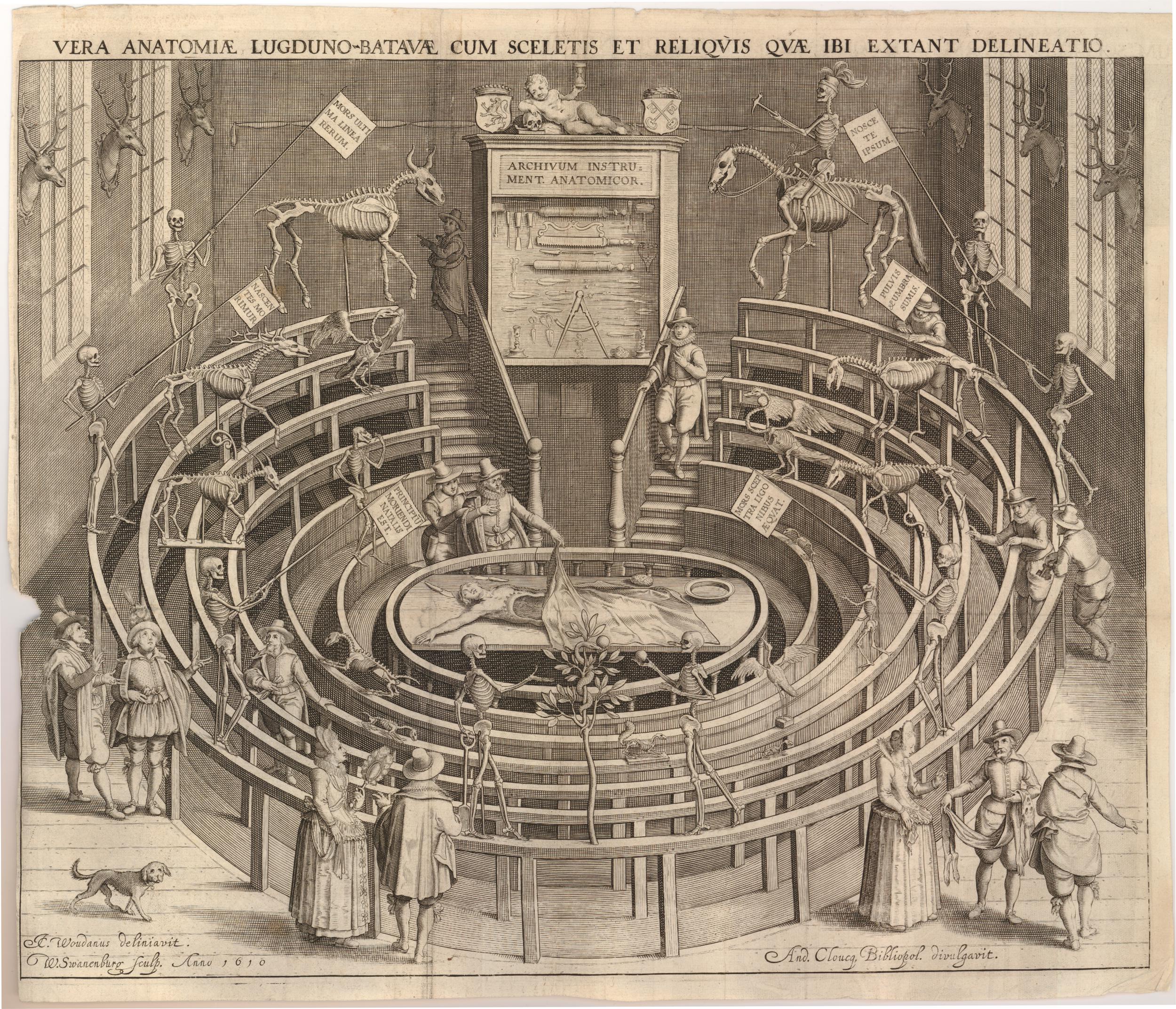 WilliamHeesbeenエッチング作品LeidenUniversiteit Etching of the anatomy theatre at the University of Leiden by