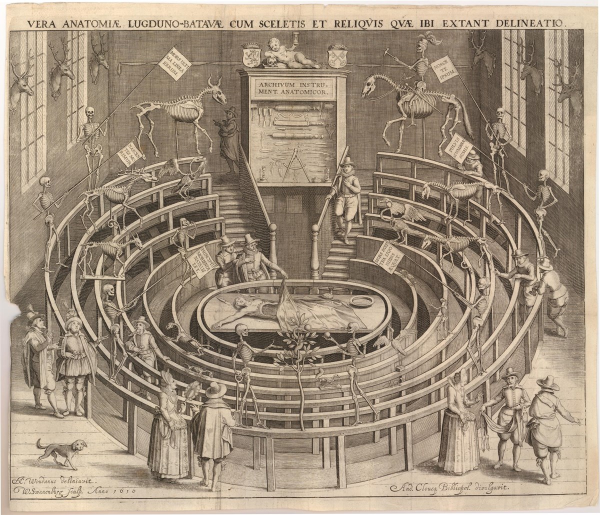 Etching of the anatomy theatre at the University of Leiden by Willem van Swanenburg after Jan Cornelisz, 1610. Credit: on loan from the Royal College of Physicians, all rights reserved