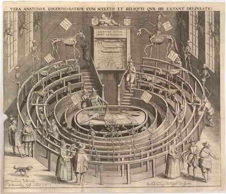 Etching of the anatomy theatre at the University of Leiden by Willem van Swanenburg after Jan Cornelisz, 1610. Credit: on loan from the Royal College of Physicians, all rights reserved