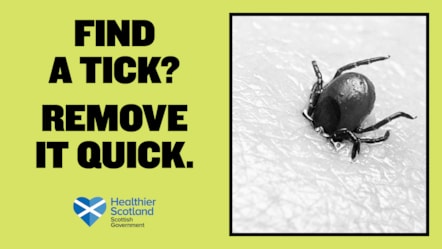 Campaign Banner - Lyme Disease