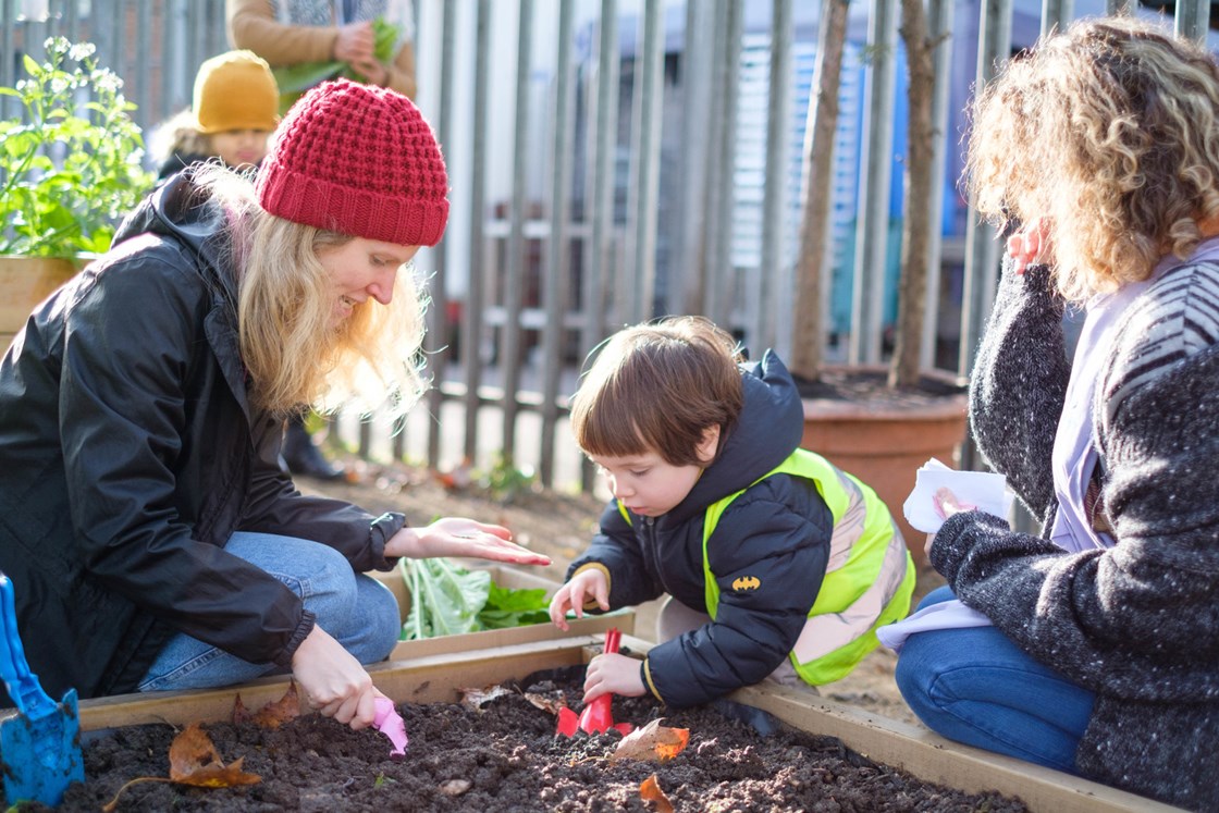 Castlehaven Park November 2019: Castlehaven Park, horticulture hub, HS2 Community Environment Fund, HS2 Business and Local Economy Fund, CEF, BLEF, community engagement, Camden, London, Groundwork