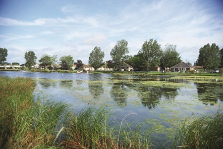 Lakeside Coastal Village Grounds Lake