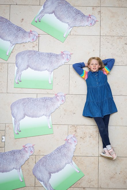Edinburgh school pupil Connie Blacklaw (8), checks out a Dolly the Sheep-themed trail at the National Museum of Scotland, part of the programme for Maths Week Scotland, which starts today (Monday 25 September) credit Duncan McGlynn