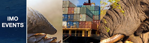 Save the date: 9 February 2021: Webinar on accelerating action against wildlife trafficking in international maritime supply chains: IMO-UfW Webinar event banner NEW