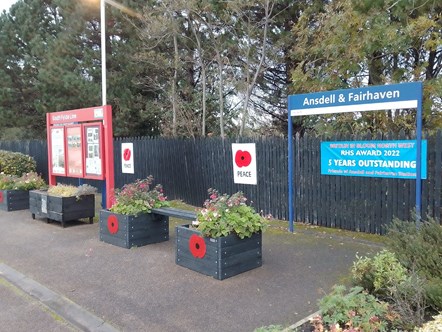 This image shows poppies on display at Ansdell & Fairhaven