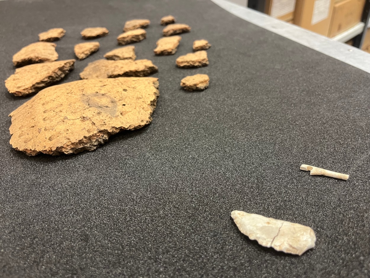 Pitty Close Farm finds: Some of the ancient Bronze Age finds made at Pitty Close Farm in Drighlington, Leeds.
As well as the cremated remains of a child and three adults, the dig uncovered fragments of a decorated clay urn, part of a pin which was carefully carved from a piece of animal bone and the shattered blade of a delicately honed flint knife.