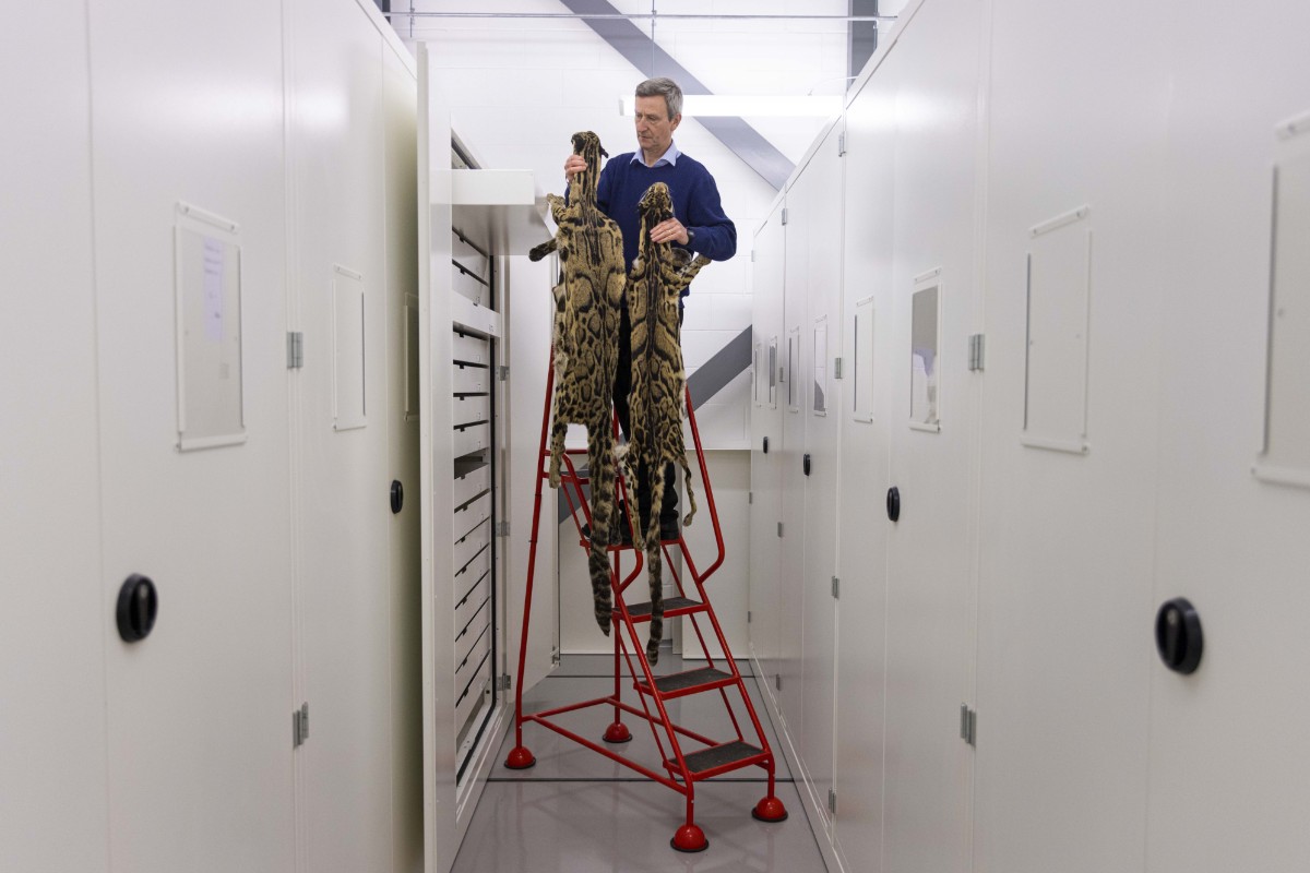 Natural Sciences at the National Museums Collection Centre © Duncan McGlynn-14