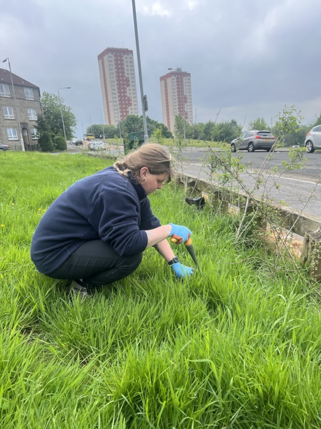 RSPB team planting in Springburn, Glasgow © RSPB Scotland: RSPB staff member planting hedgerows and plug plants in Springburn Glasgow. Image credit: RSPB Scotland.