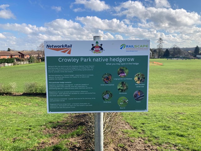 A new sign with information about the hedgerow and hints for spotting wildlife