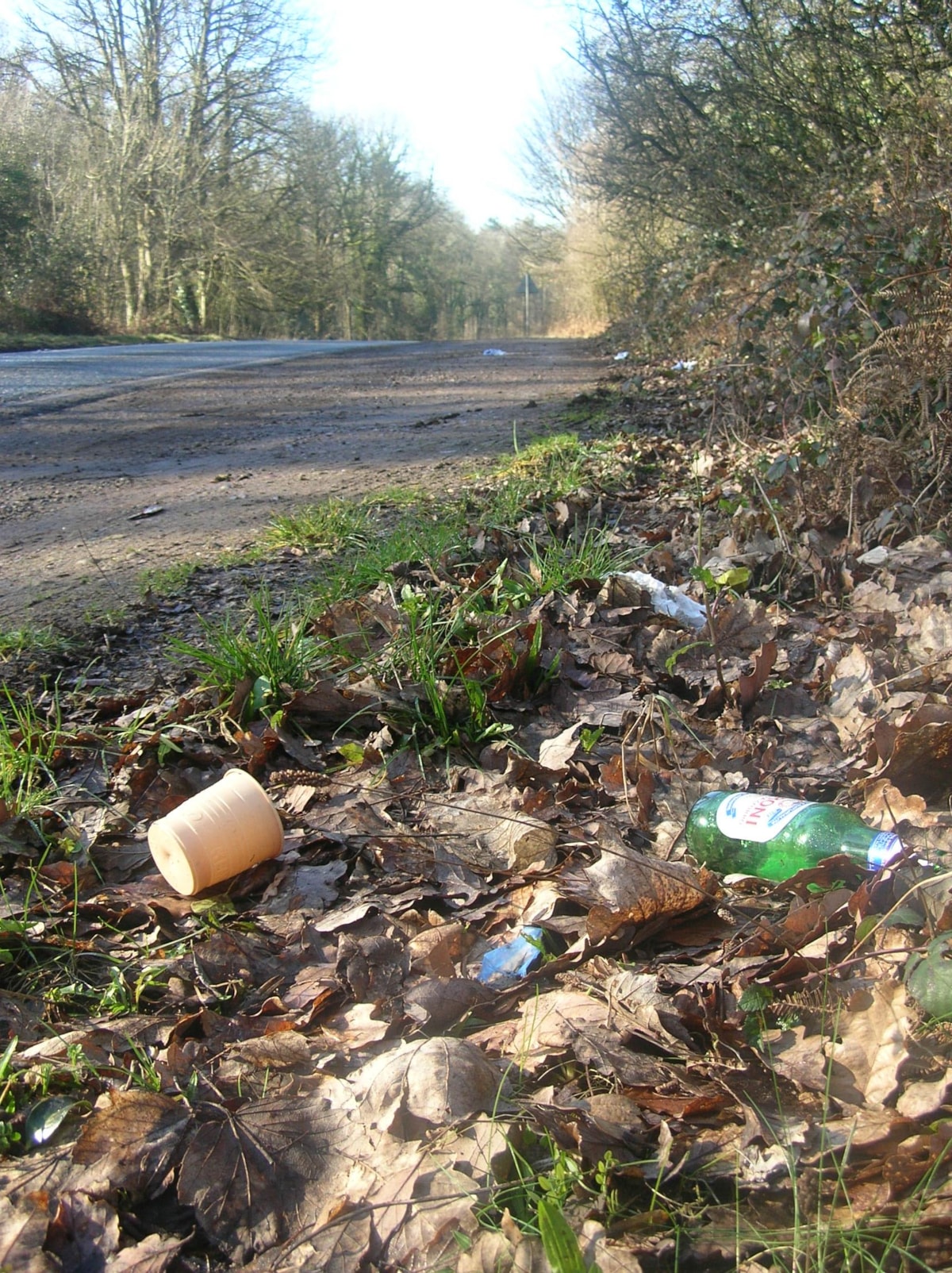 Litter at roadside