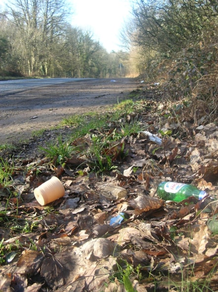 Litter at roadside