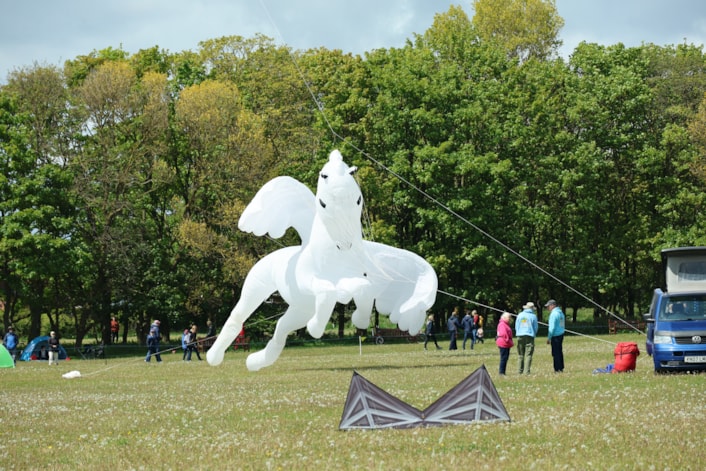 Kite Festival 9: Colourful figures will paint the sky next weekend as Lotherton is gearing up to embark on its first ever Kite Festival, taking place on 22 and 23 August.
Credit: The Northern Kite Group