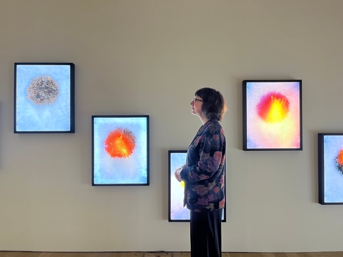 Planet’s natural wonders take root in gallery’s new show: image00001-4