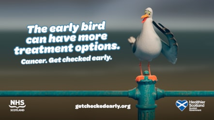 Public Information Screen Asset - More treatment options (seagull with neck lump)