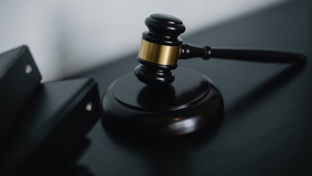 court case 2 cropped-6