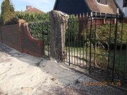Sycamore tree in White Oak Gardens, Sidcup: The Sycamore tree in White Oak Gardens, Sidcup that was protected by a Tree Preservation Order.