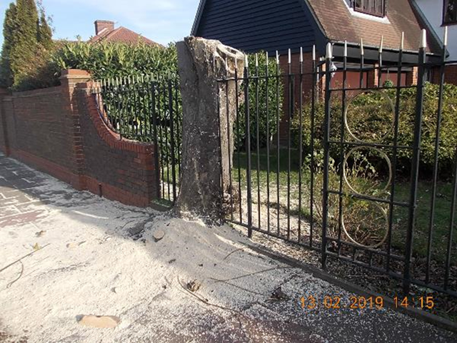 Sycamore tree in White Oak Gardens, Sidcup: The Sycamore tree in White Oak Gardens, Sidcup that was protected by a Tree Preservation Order.