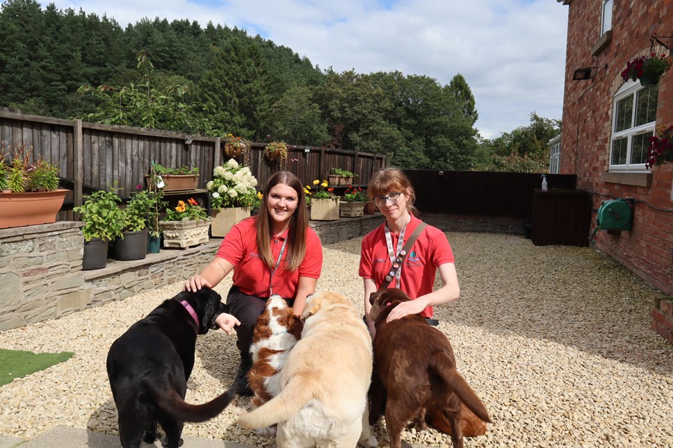 Street Warden Team - Paw Prints Award