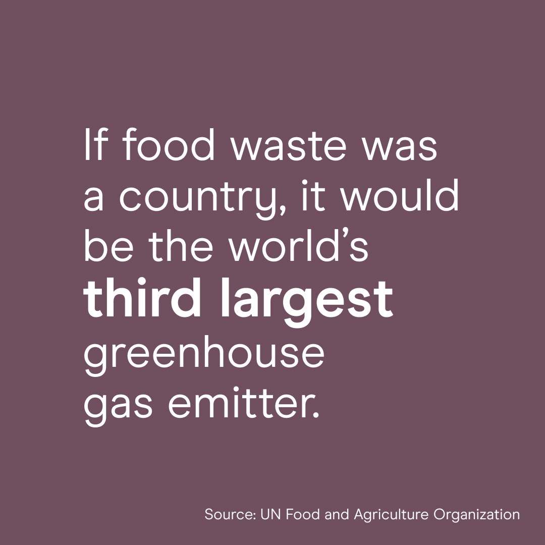 Social asset - Food Waste 5 - 1080x1080 - Climate Conversations